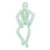 Beistle Mr. Bones-A-Glo Skeleton Party Supplies