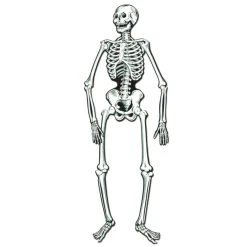 Caufield's Novelty Indoor Decor Jointed Posable Skeleton Cutout 22"
