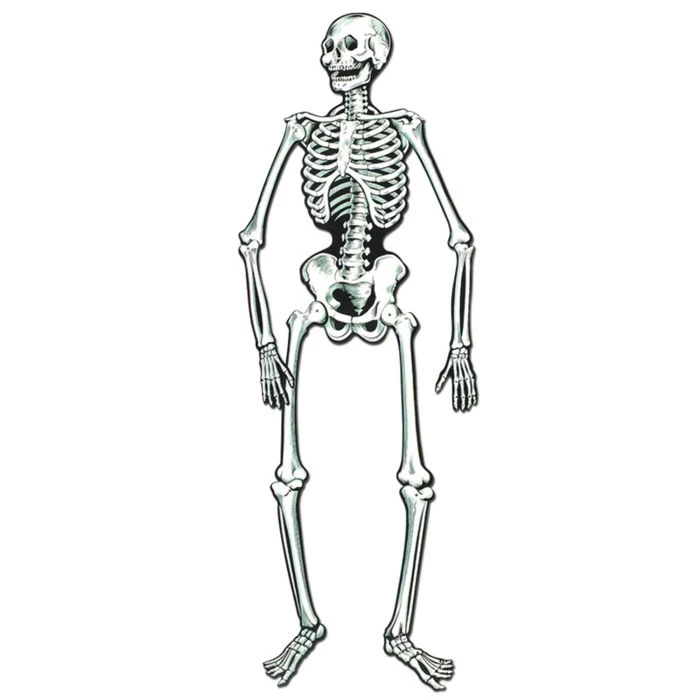 Caufield's Novelty Indoor Decor Jointed Posable Skeleton Cutout 22" 1 Caufield's Novelty Indoor Decor Jointed Posable Skeleton Cutout 22"