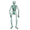 Beistle Jointed Skeleton 55" Indoor Decor