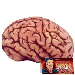 Loftus Bloody Brain Prop
