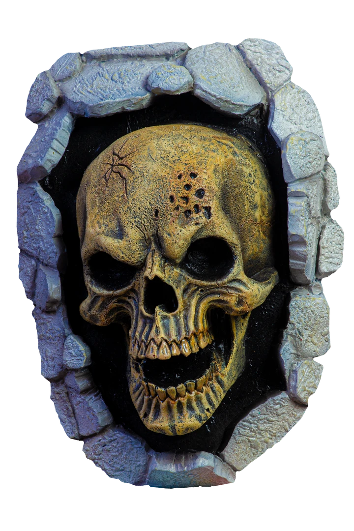 Oktober Studios Skull Wall Mount 1 Oktober Studios Skull Wall Mount