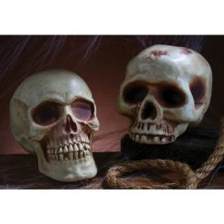 Fun World Natural Brown 8" Skull Body Parts