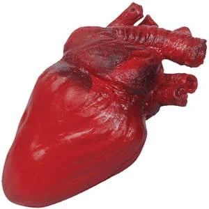 24 Bloody Heart Prop Body Parts 1 24 Bloody Heart Prop Body Parts