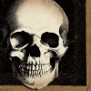 Amscan Party Supplies Boneyard Skull Luncheon Napkins 125/pkg