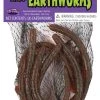 Fun World Earthworm Prop 8/pcs Indoor Decor