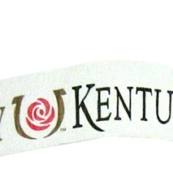 Westrick Horse Racing Decor And Accessories Kentucky Derby Icon Streamer